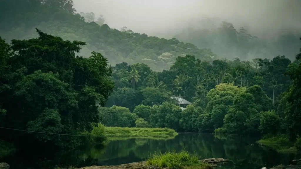 TOP Reasons to visit Thekkady